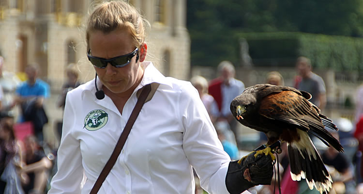 Charlotte Hill and the Birds of Prey