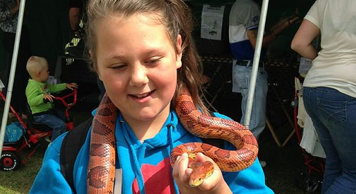 Exotic Animal Encounters