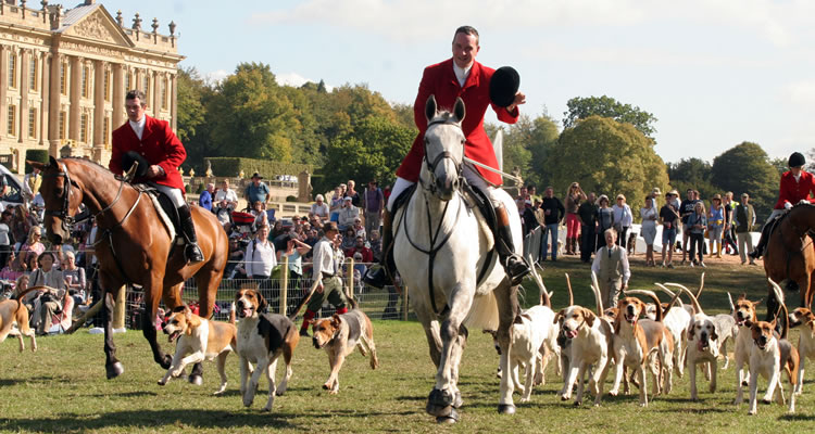 Hound Parade in front of Chatsworth House