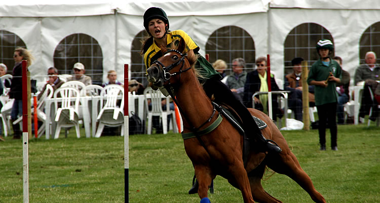 Mounted Games Association of Great Britain